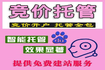 探索信息流广告的奥秘：成功案例背后的策略解析